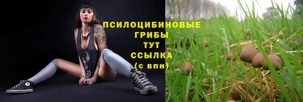 мяу мяу мука Костерёво