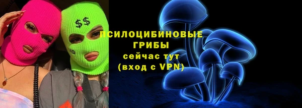 стафф Коряжма