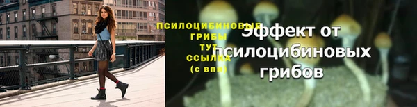 прущие крисы Корсаков