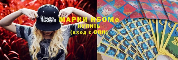 стафф Коряжма
