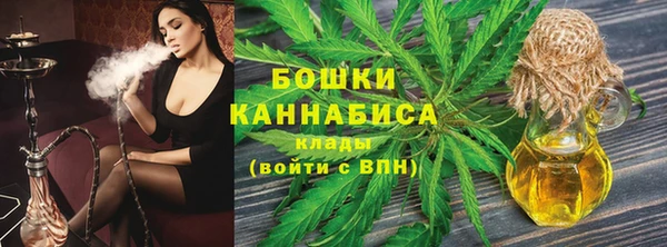 стафф Коряжма