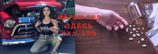 стафф Коряжма