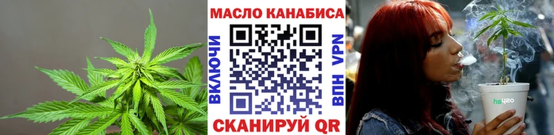 Купить где Инза ТГК концентрат
