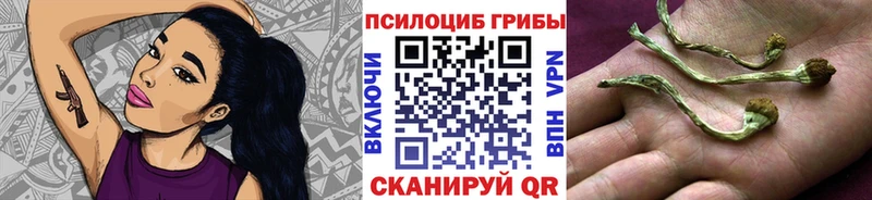 Купить где  Инза  Псилоцибиновые грибы MAGIC MUSHROOMS 